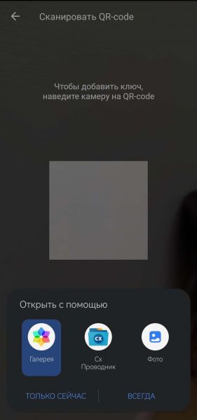 Файл:Scan qr from memory android.jpg